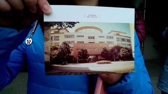 感恩节最新爆料新闻报道,最新爆料揭示节日背后的感人故事