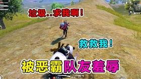 特种战集合最新爆料,揭秘最新战力曝光，神秘装备亮相引关注